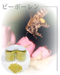 ■ブラジル産ビーポーレン（花粉）　-BEE POLLEN-